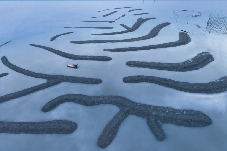 In the Belly of the Fish by Ken Ang