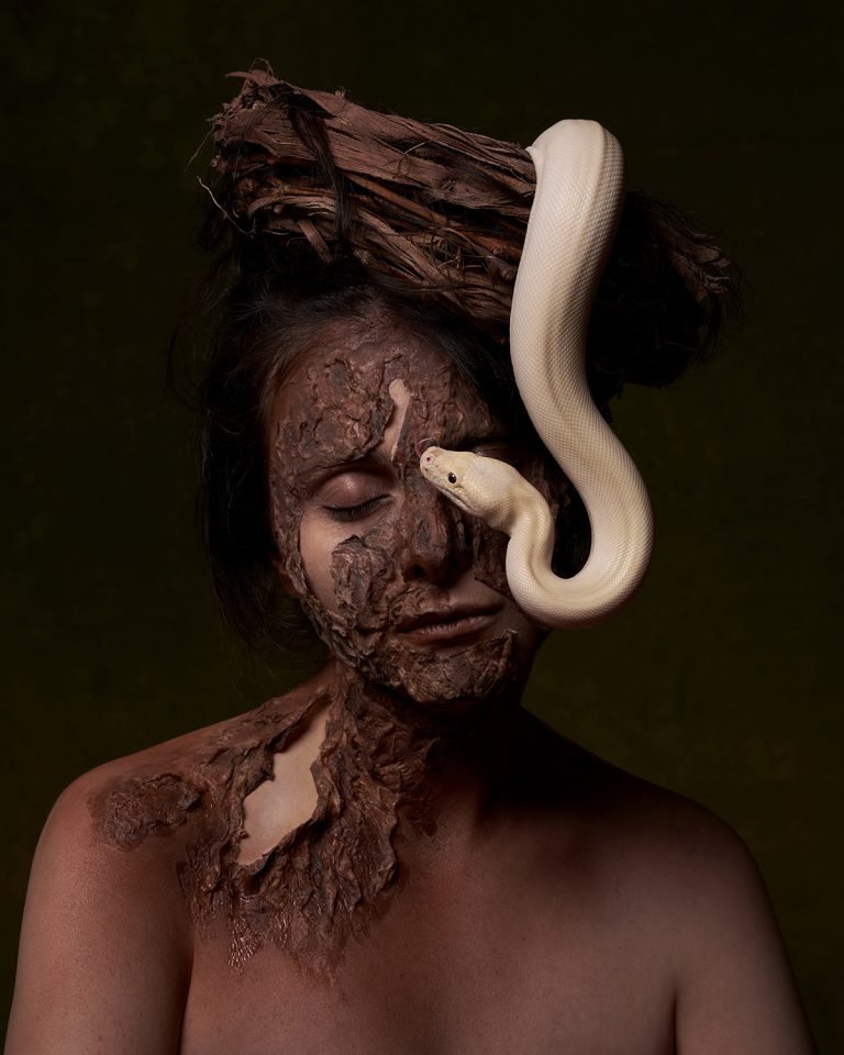 Metamorphosis by Hadi Mahmoudi