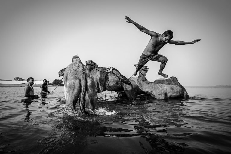 Its Bathing Time by Anoop Mohamed Basheer