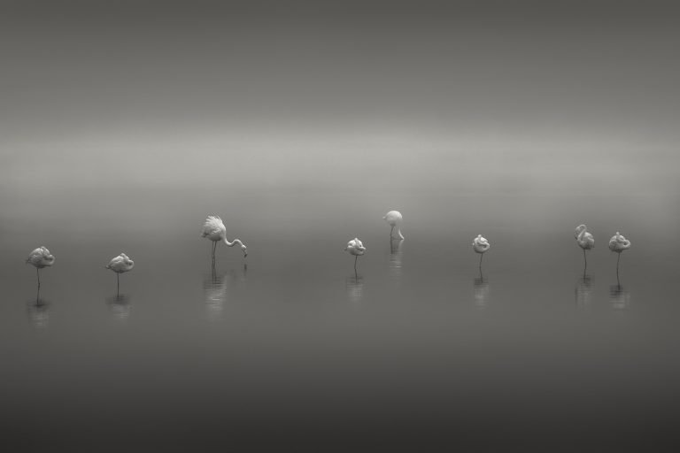 Minimalist